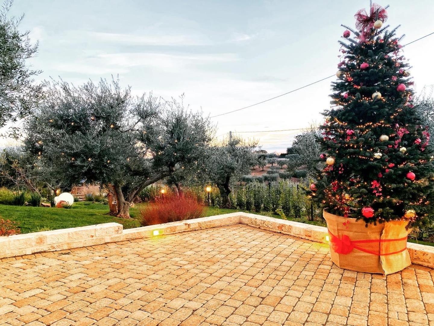 Verdeacqua Suite Locorotondo Εξωτερικό φωτογραφία